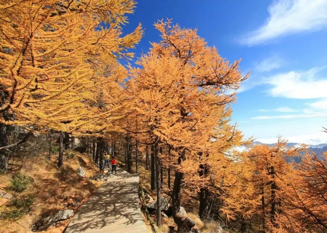 秋在太白山