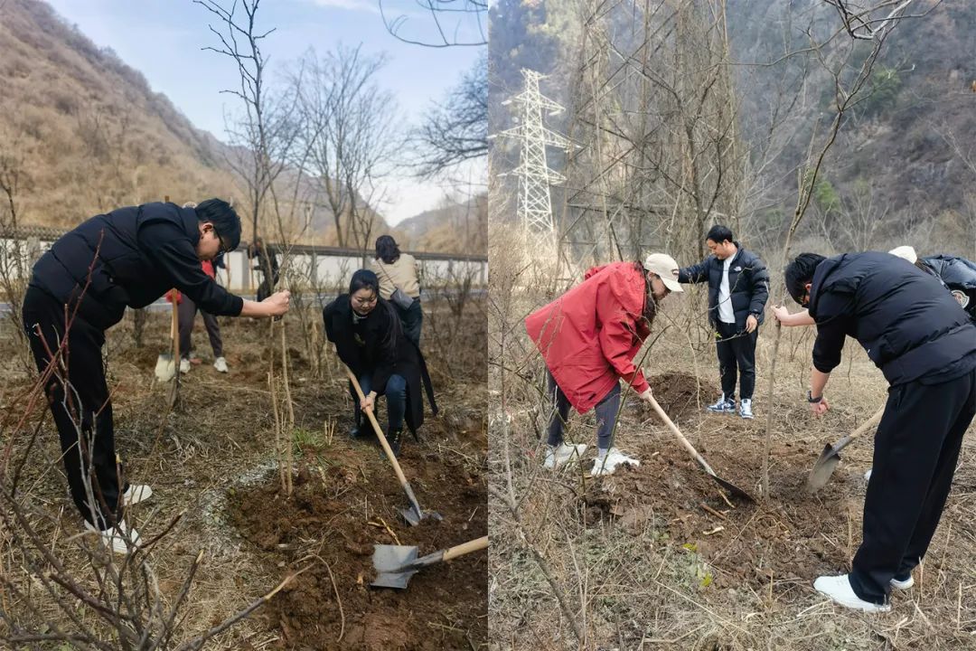 太白山植樹季